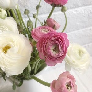 Meet your Posher, Anastasia